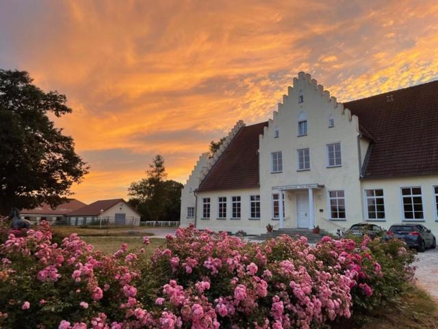 Boutique Hotel Gut Tribbevitz Neuenkirchen auf Rugen Zewnętrze zdjęcie